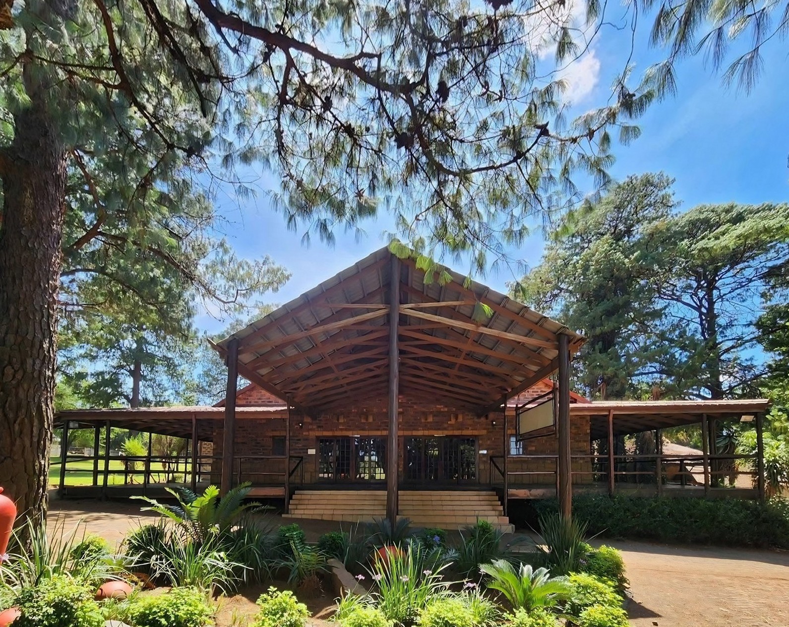 A timber-framed hall with a wide veranda, behind aloes and garden beds under the pines